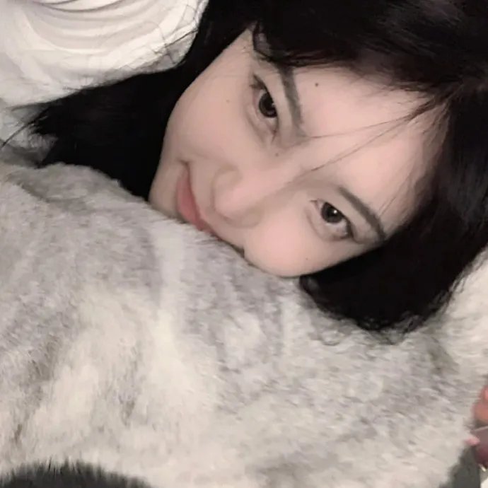 铁甲小宝